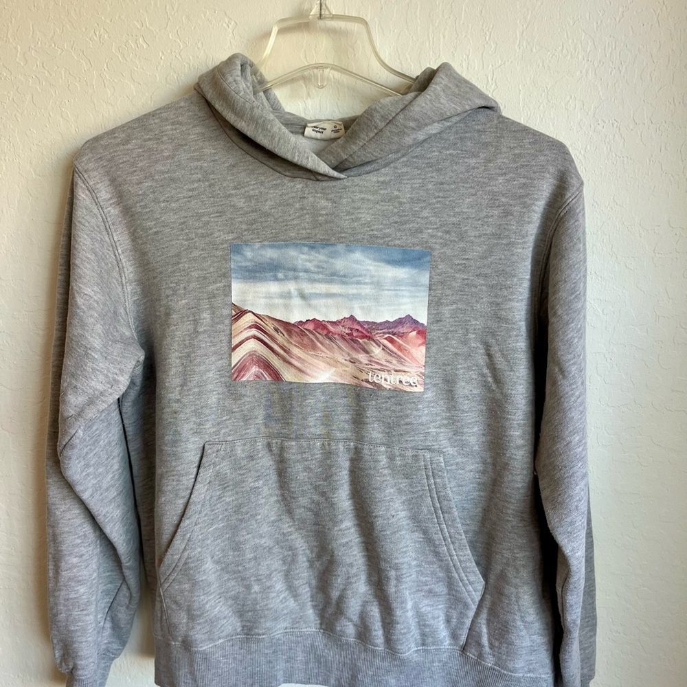 tentree Gray Hoodie with Mountain Print